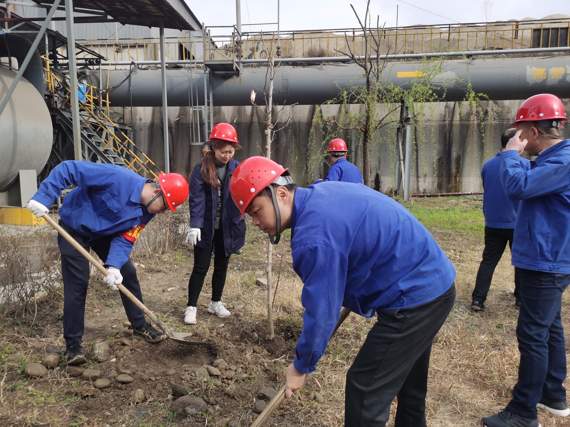 陽春三月時 植樹正當時—漢中公司機關黨支部開展植樹主題黨日活動