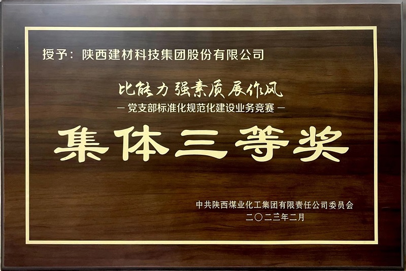 陜西建材科技公司榮獲“黨支部標(biāo)準化規(guī)范化建設(shè)”類競賽三等獎及“優(yōu)秀組織獎”