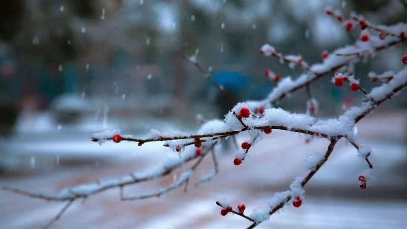 大雪無(wú)聲