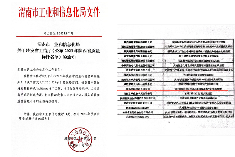 喜報！富平公司榮獲陜西省質(zhì)量標桿榮譽